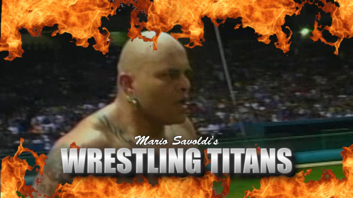 Pro Wrestling Library Update – November 28, 2023