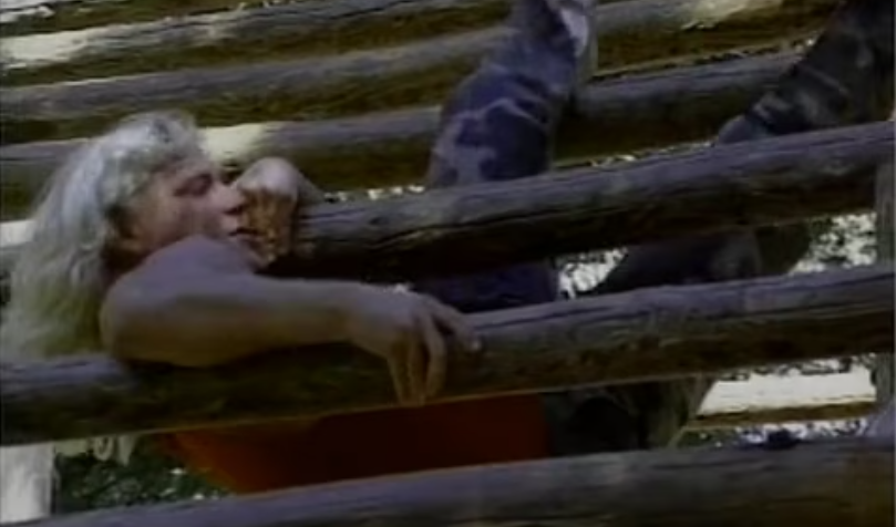 Pro Wrestling Library Update – March 14, 2024